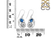 Labradorite Snail Earring LBD-RUE-18.