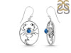 Labradorite Crab Earring LBD-RUE-19.