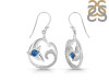 Labradorite & White Topaz Dolphin & Waves Earring LBD-RUE-20.