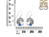 Labradorite Waves Earring LBD-RUE-23.