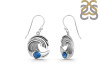 Labradorite Waves Earring LBD-RUE-23.