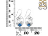 Labradorite Dolphin Earring LBD-RUE-24.