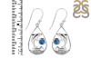 Labradorite Dolphin Earring LBD-RUE-26.