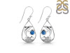Labradorite Dolphin Earring LBD-RUE-26.