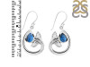 Labradorite Whale Tail Earring LBD-RUE-28.