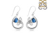 Labradorite Whale Tail Earring LBD-RUE-28.