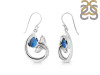 Labradorite Whale Tail Earring LBD-RUE-28.