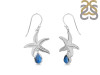 Labradorite & White Topaz Star Fish Earring LBD-RUE-31.