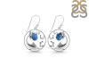 Labradorite Sail Fish Earring LBD-RUE-32.