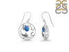 Labradorite Sail Fish Earring LBD-RUE-32.