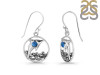 Labradorite Dolphin Earring LBD-RUE-33.