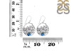 Labradorite Sea Horse & Fish Earring LBD-RUE-41.