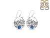 Labradorite Sea Horse & Fish Earring LBD-RUE-41.