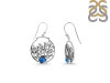 Labradorite Sea Horse & Fish Earring LBD-RUE-41.