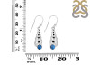 Labradorite Shell Earring LBD-RUE-60.