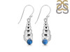 Labradorite Shell Earring LBD-RUE-60.