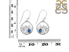 Labradorite & White Topaz Fish Earring LBD-RUE-62.