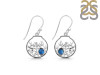 Labradorite & White Topaz Fish Earring LBD-RUE-62.
