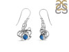 Labradorite Octopus Earring LBD-RUE-65.