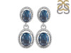 Labradorite Earring LBD-RDE-74.