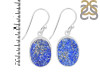 Lapis Rough Earring-E LLP-3-38