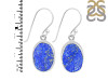 Lapis Rough Earring-E LLP-3-62