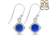 Lapis & White Topaz Earring LLP-RDE-692.
