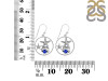 Lapis Star Fish & Shell Earring LLP-RUE-16.