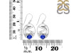 Lapis Dolphin Earring LLP-RUE-24.