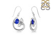 Lapis Whale Tail Earring LLP-RUE-28.