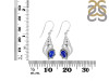 Lapis Shell Earring LLP-RUE-49.