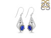 Lapis Shell Earring LLP-RUE-49.