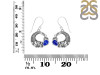 Lapis Fish Earring LLP-RUE-56.