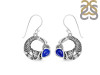 Lapis Fish Earring LLP-RUE-56.