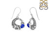 Lapis Fish Earring LLP-RUE-56.