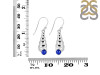 Lapis Shell Earring LLP-RUE-60.