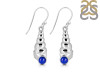 Lapis Shell Earring LLP-RUE-60.