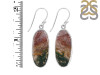 Moss Agate Earring-E MOA-3-19