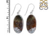 Moss Agate Earring-E MOA-3-28
