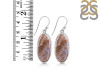 Moss Agate Earring-E MOA-3-40
