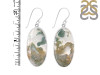 Moss Agate Earring-E MOA-3-55