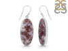 Moss Agate Earring-E MOA-3-63
