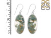 Moss Agate Earring-E MOA-3-79