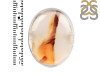 Montana Agate Ring-R-Size-5 MTA-2-64