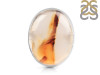 Montana Agate Ring-R-Size-5 MTA-2-64