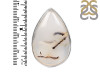 Montana Agate Ring-R-Size-8 MTA-2-65
