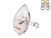 Montana Agate Ring-R-Size-8 MTA-2-65