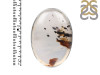 Montana Agate Ring-R-Size-8 MTA-2-67