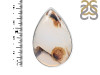Montana Agate Ring-R-Size-8 MTA-2-83