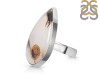 Montana Agate Ring-R-Size-8 MTA-2-83